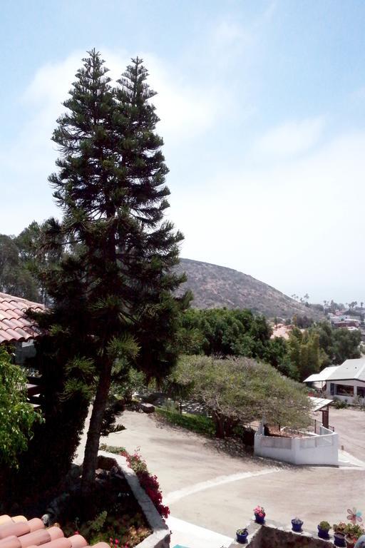 Quinta Los Arrayanes Hotel Ensenada Quarto foto